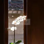 Casina De Santa Ana Ii By Silastur شقة *