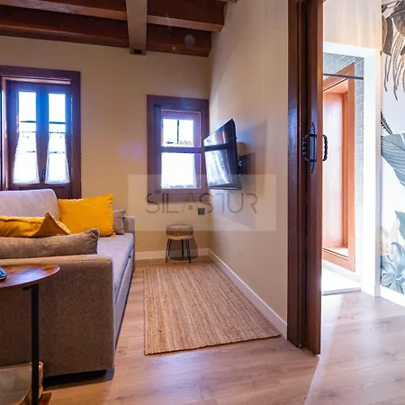 公寓 Casina De Santa Ana Ii By Silastur